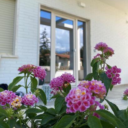 Marina di Pietrasanta Bed & Breakfast | Villa D Erna Marina di Pietrasanta