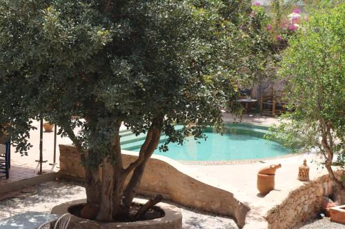 Essaouira Bed & Breakfast | Villa Grenadine