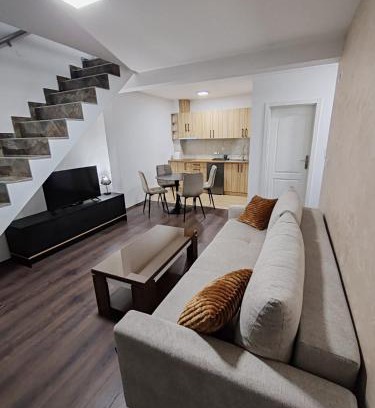 Banja Koviljaca Apartment | Villa Jelena
