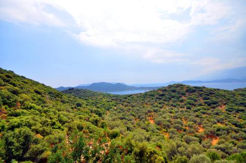 Kas Villa | Villa Kaktus 2