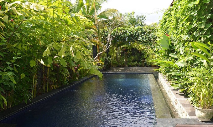 Lovina Villa | Villa Latebra