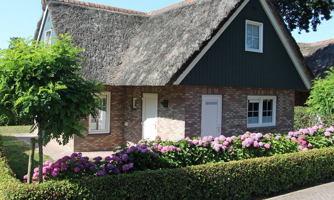 Sint Maartensvlotbrug Villa | Villa with sauna, Villa Lachmöwe, 10 minutes by bike from the beach