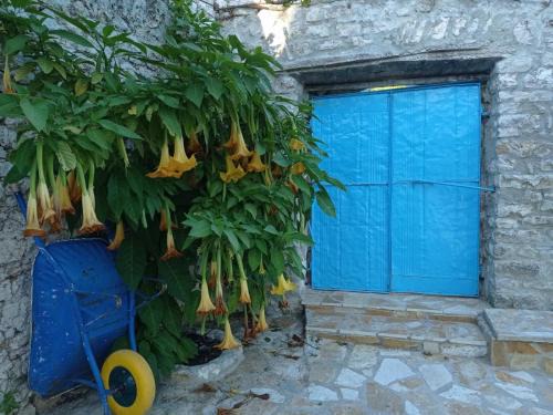 Vuno House | Vintage Mediterranean house