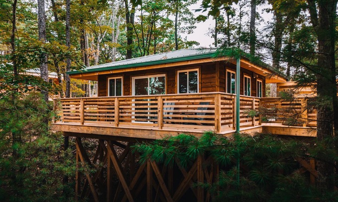 Rogers Cabin | 'Warbler' - One of our cute and tidy Lookout Cabins