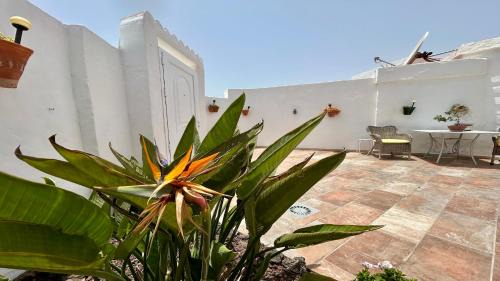 Bahia Calma Apartment | Welooveyou Honey