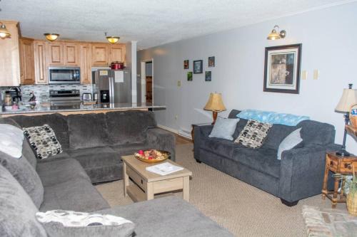 Ghent Apartment | Winterplace Condos - Ski in Ski out E104