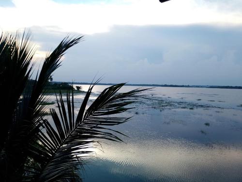 Yodakandiya Hotel | yala treetop lake