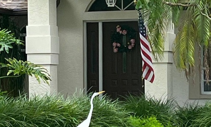 Palm River Estates House | Your Home Away from Home 3+2+Den nGreat deal, excellent reviews