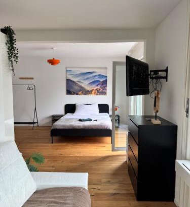 St. Gallen Apartment | Zentrales Apartment St Gallen an der Olma