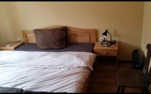 Sofia Hotel | Zlatna ribka