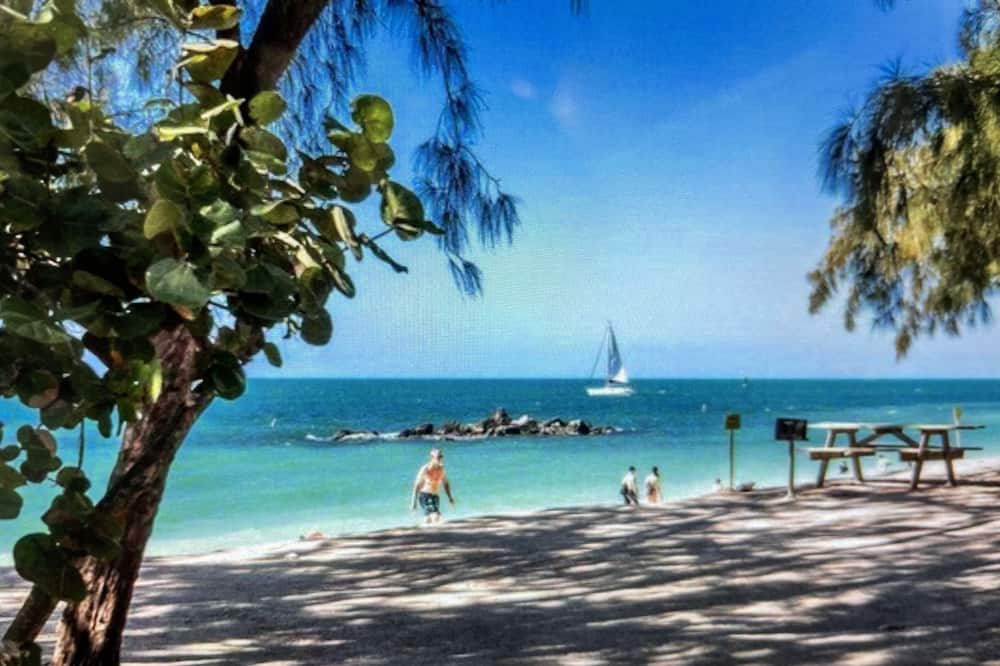 Photo of Others in Summerland Key