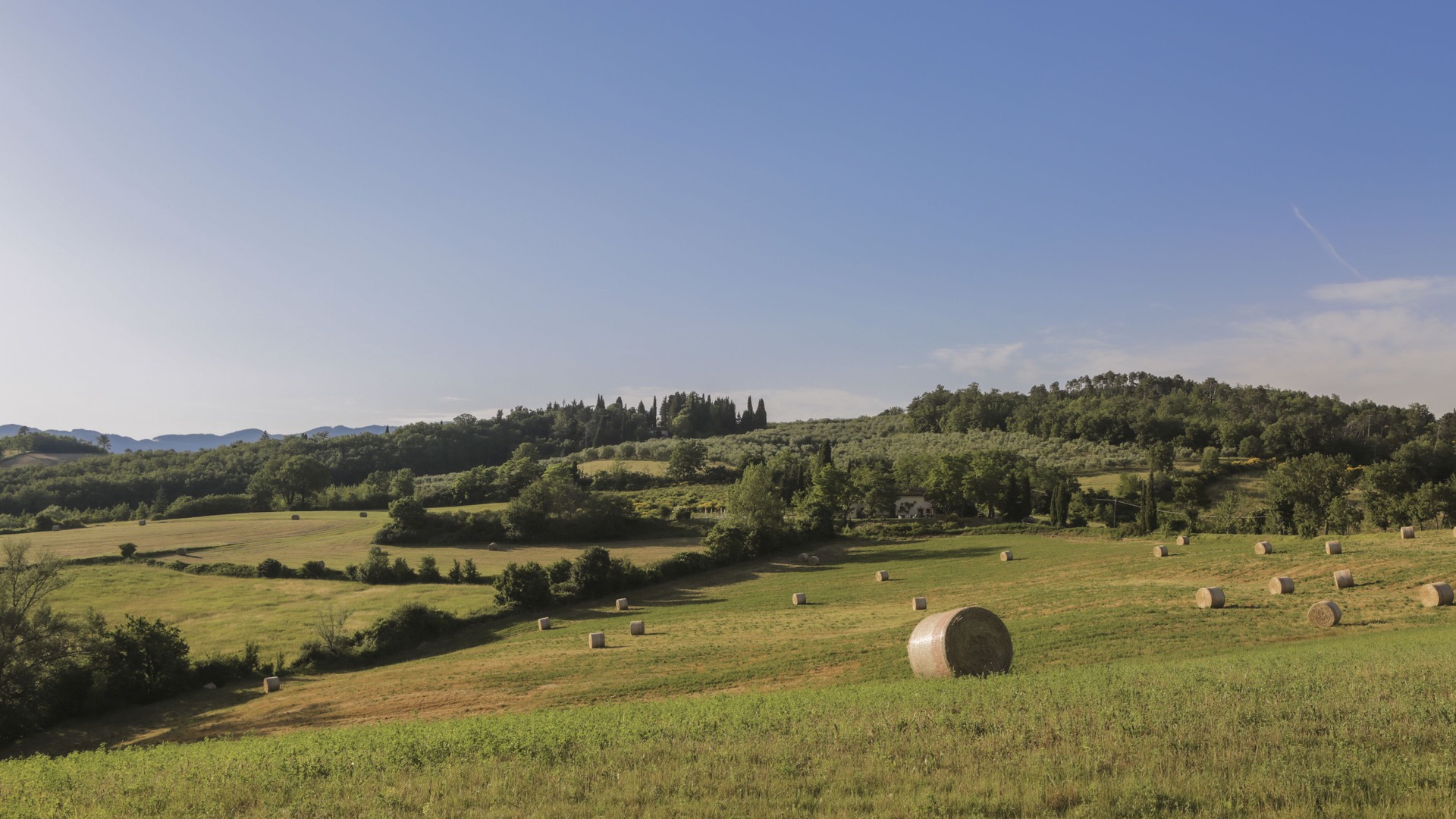 Photo of Outdoor in Barberino di Mugello