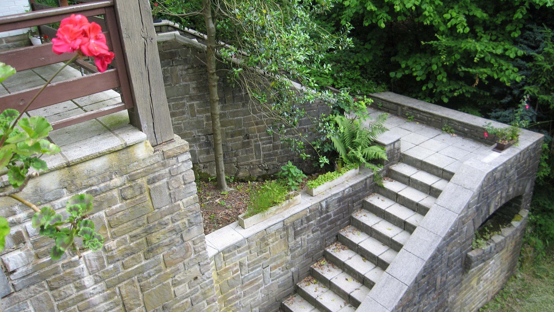 Photo of Outdoor in Coo