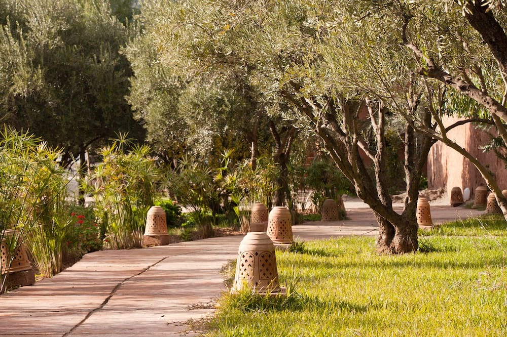 Photo of Outdoor in Ouirgane