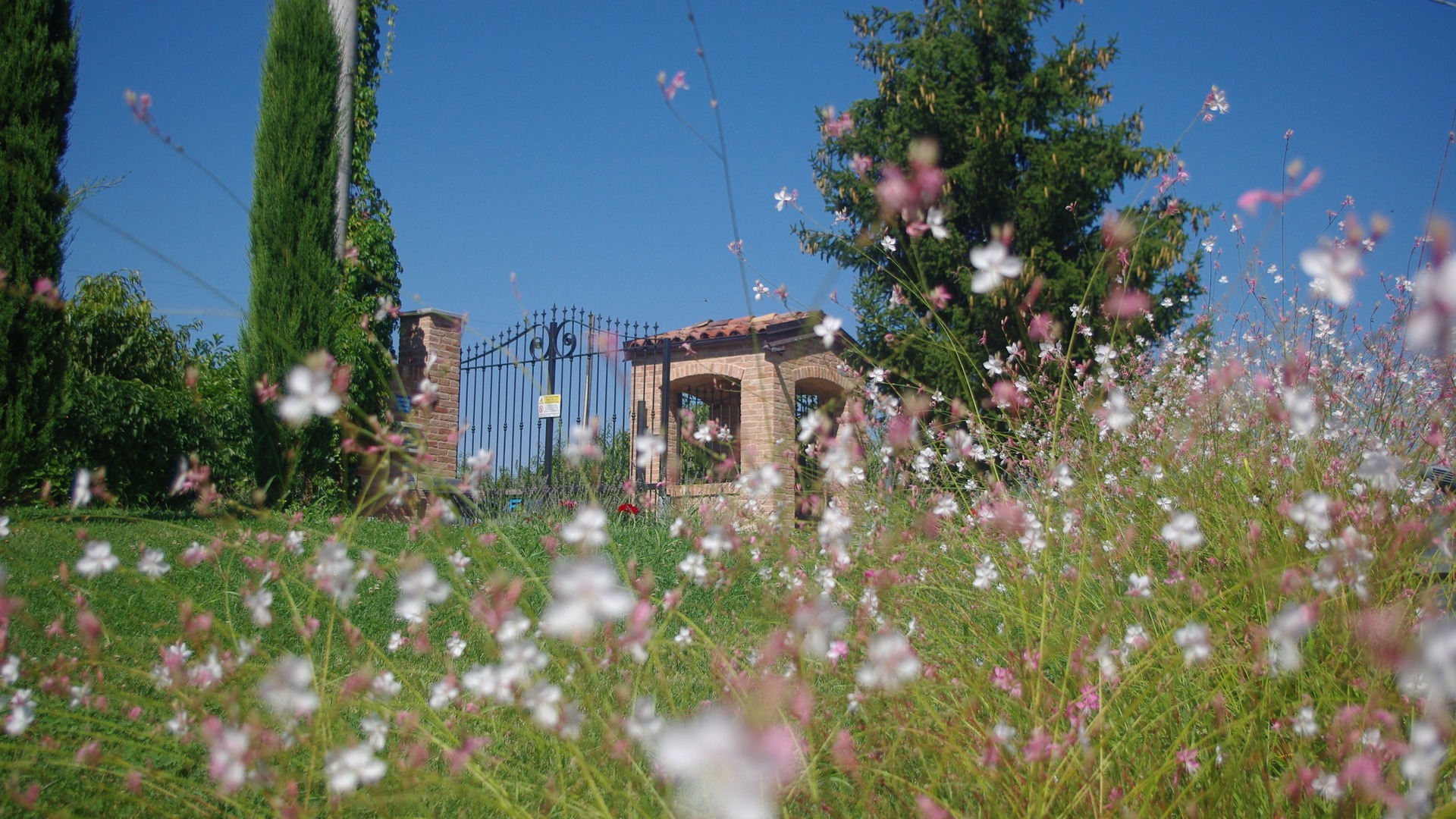 Photo of Outdoor in Agliano Terme