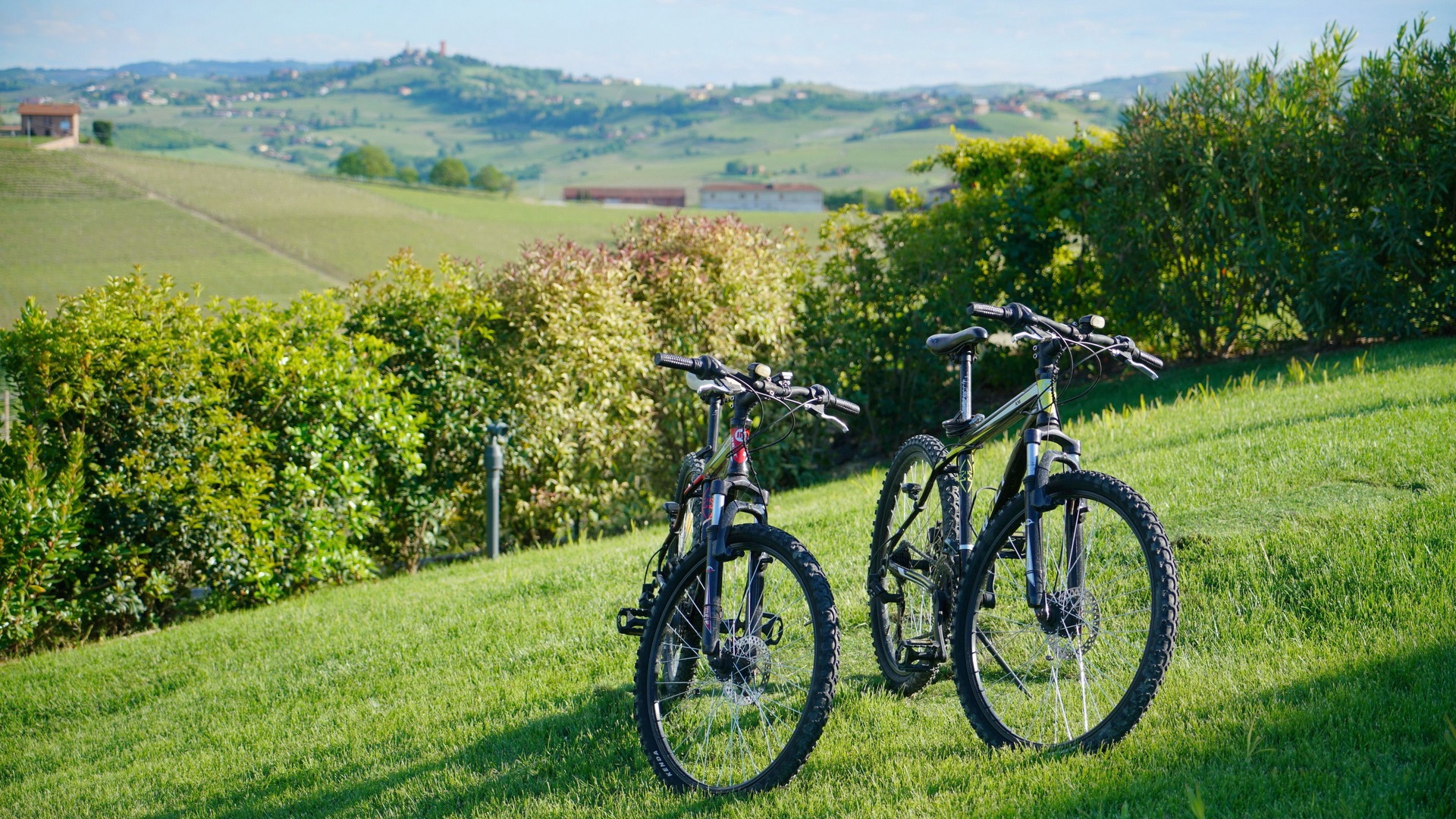 Photo of Outdoor in Agliano Terme