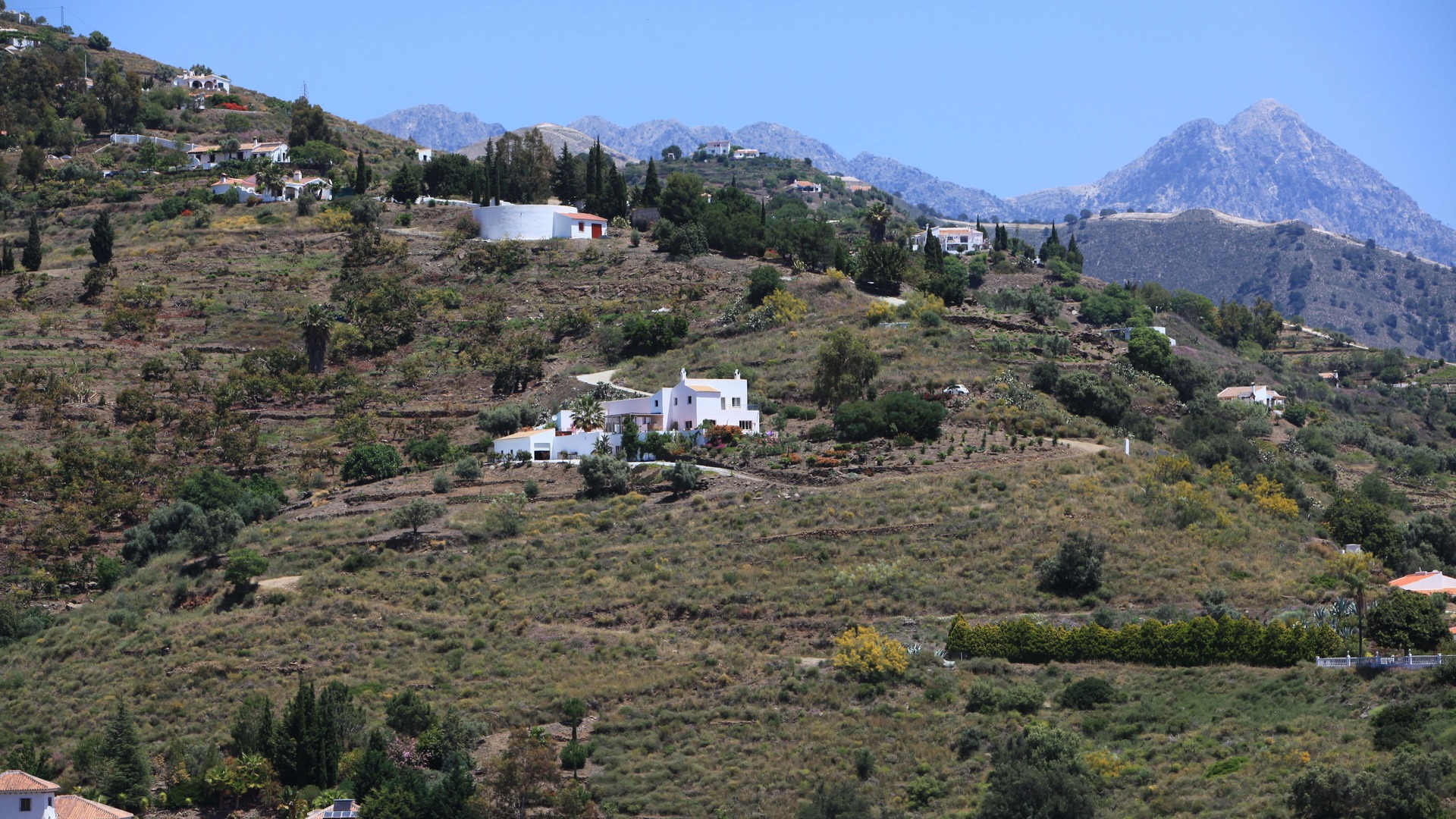 Photo of Outdoor in Competa