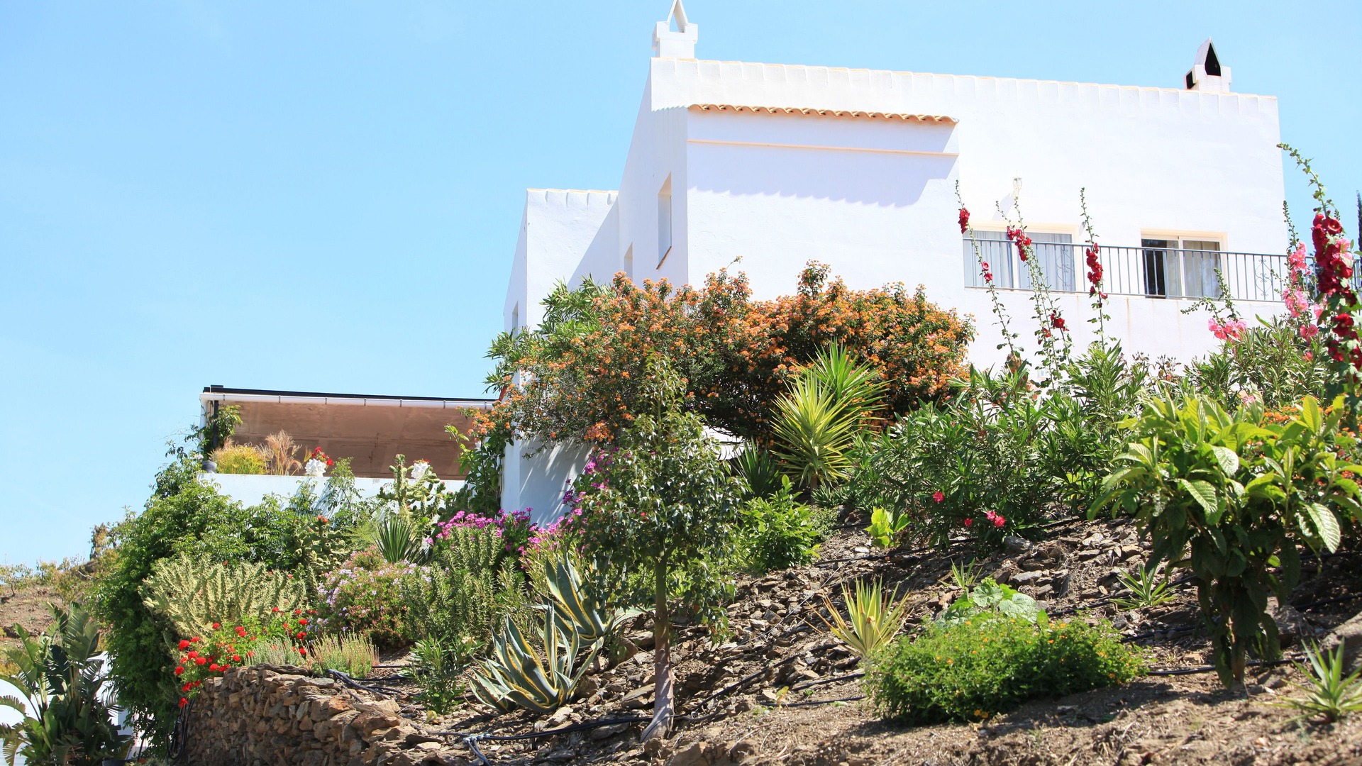 Photo of Outdoor in Competa