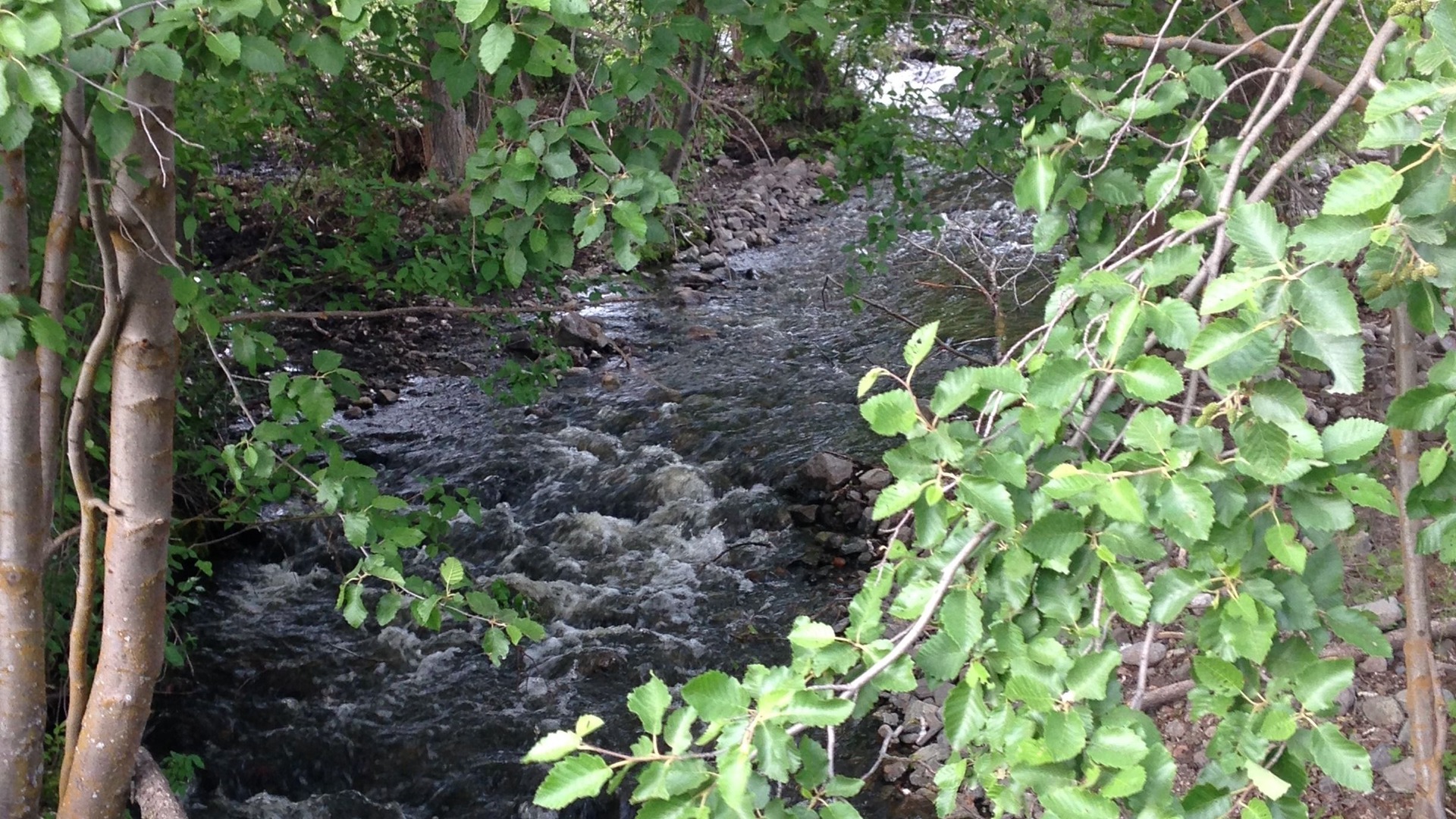 Photo of Outdoor in Cherryville