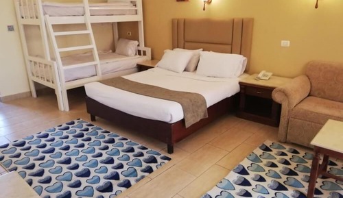 Family Bunk Bed Room
