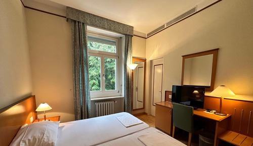 Basic Twin Room