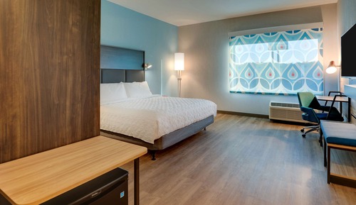 Room, 1 King Bed, Accessible (Roll-In Shower)