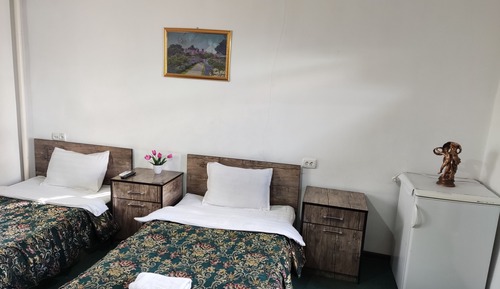 Basic Twin Room