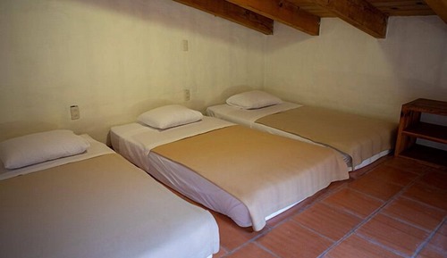 Premium Cabin