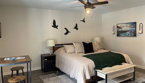 Luxury Studio Suite