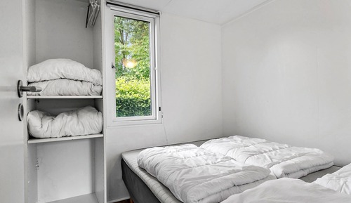 Basic Cabin