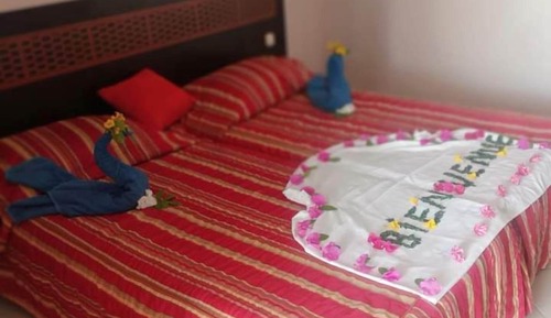 Basic Double Room