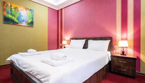Basic Double Room