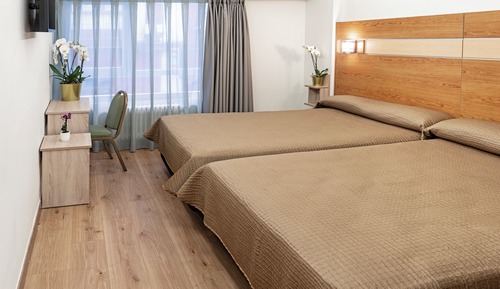 2 Single Beds, Premium Room