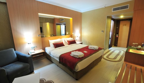 Superior Room, 1 King Bed, Non Smoking