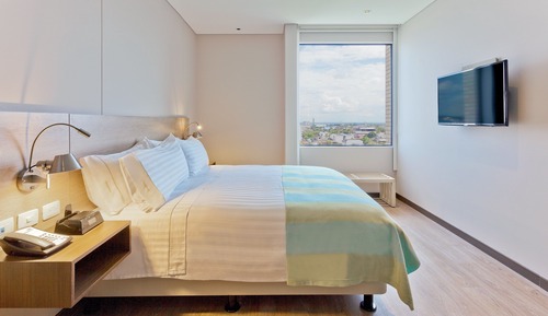 Standard Room, 1 King Bed, Accessible