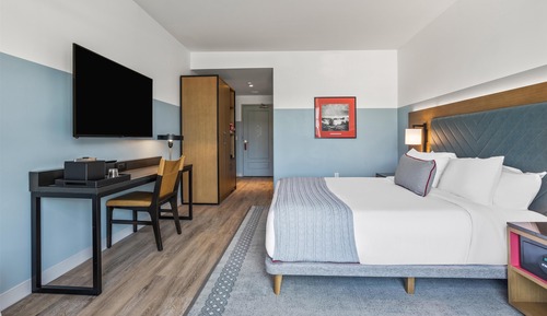 Room, 1 King Bed (Mobility & Hearing,Roll-In Shower)