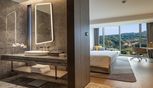 Standard Room, 1 King Bed, Mountain View