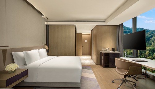 Standard Room, 1 King Bed, Mountain View