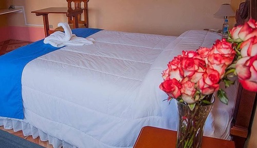 Comfort Single Room, 1 Bedroom, Garden View