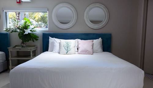Family Studio Suite, Multiple Beds
