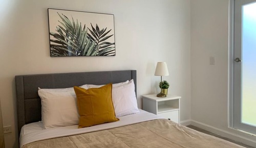 Basic Apartment