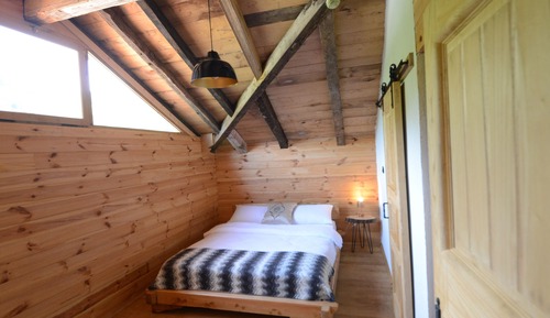 Family Room, Multiple Beds