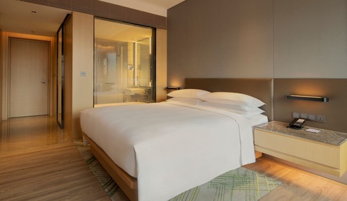 Room, 1 King Bed
