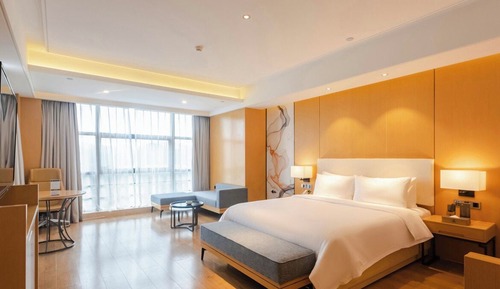 Business Single Room