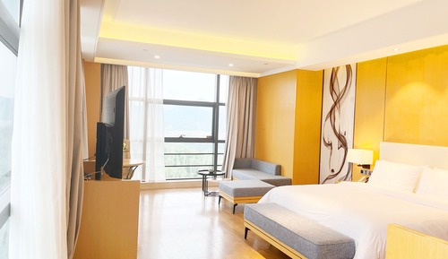 Panoramic Single Room