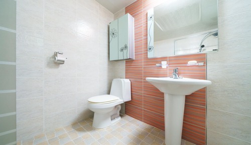 Basic Room, 1 Bedroom (102)