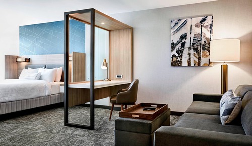 Suite, 1 King Bed with Sofa bed