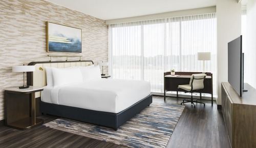 Suite, 1 King Bed (Regency)