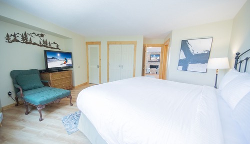 Condo, 1 King Bed with Sofa bed, Lake View (Argentine 1504)