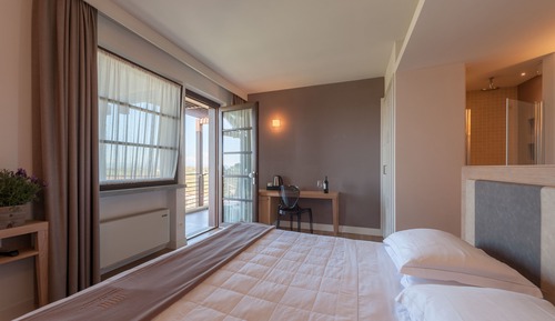 Standard Double Room, 1 King Bed
